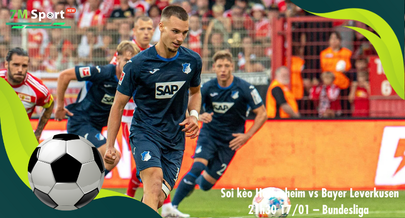 Đội hình dự kiến trước trận Hoffenheim vs Bayer Leverkusen Đội hình dự kiến trước trận Hoffenheim vs Bayer Leverkusen